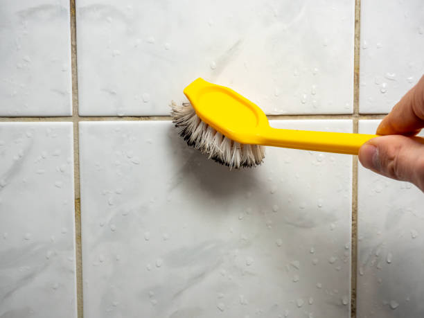 Best Basement Mold Remediation in Shady Hollow, TX