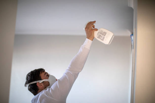 Best Mold Remediation for Schools in Shady Hollow, TX